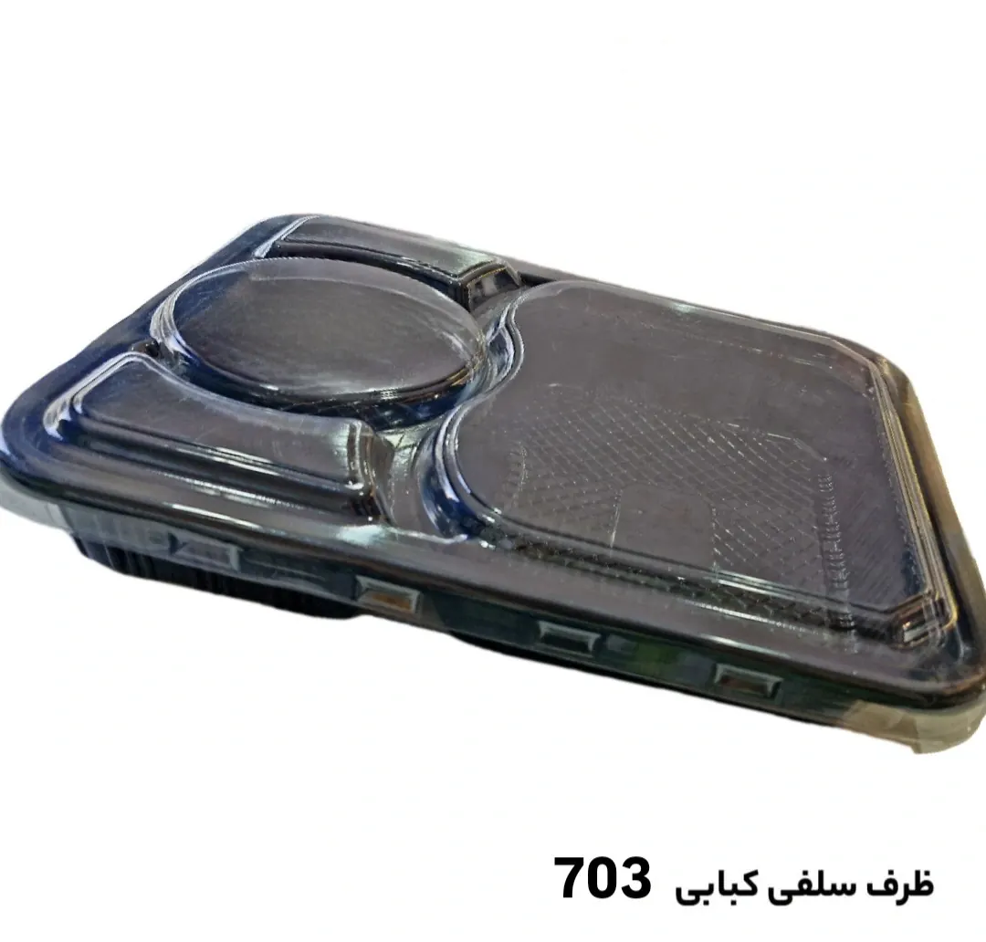 ظرف سلفی ماکروویوی مشکی چلو خورشتی با درب شفاف مدل 703 آیاتای (100عددی)