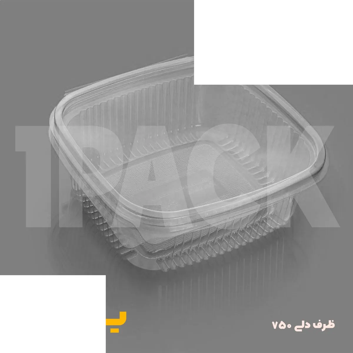 ظرف یکبار مصرف دلی 750 درب دار لولایی